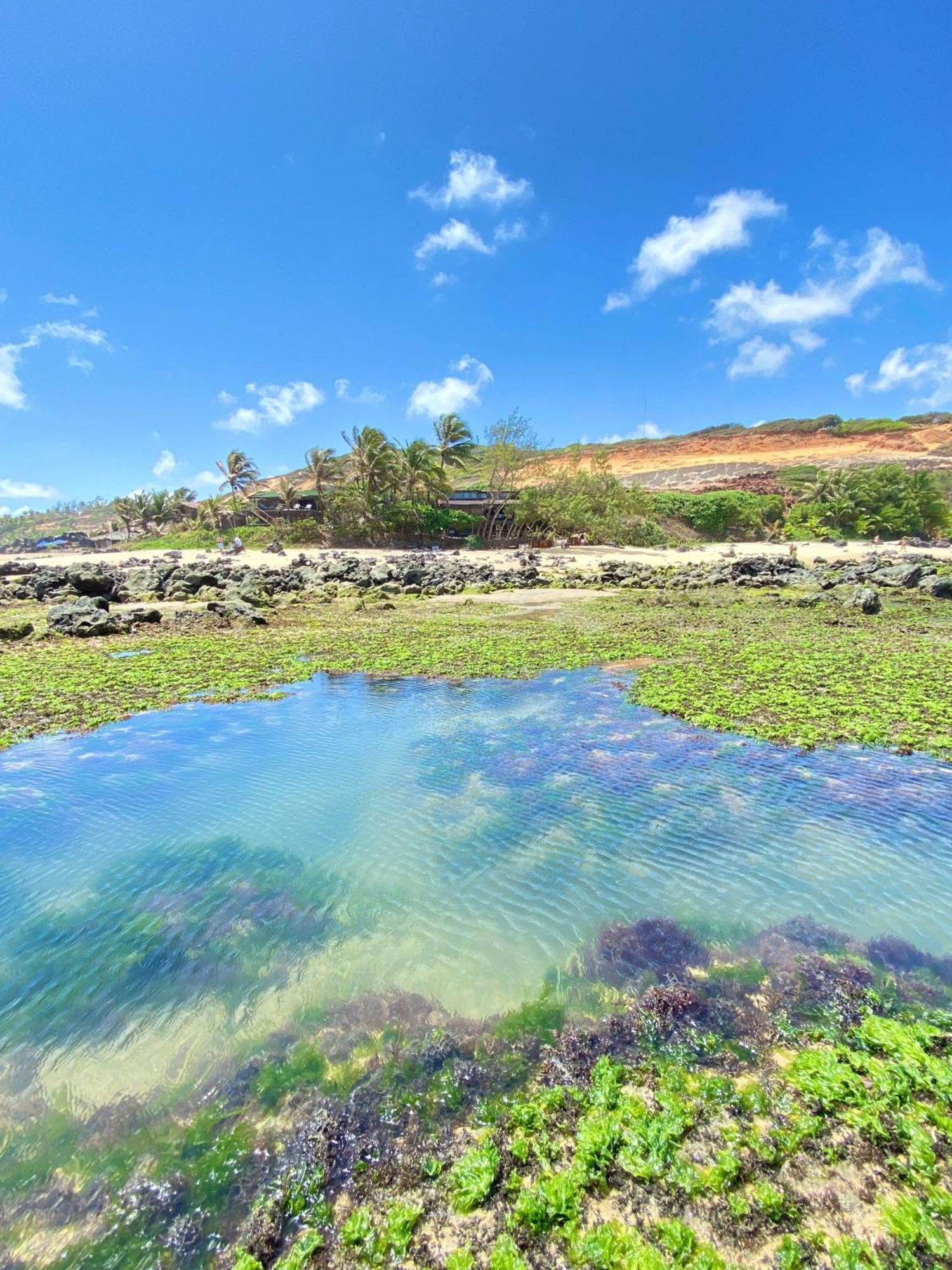 Pousada Paraiso Das Tartarugas Praia de Pipa Zewnętrze zdjęcie